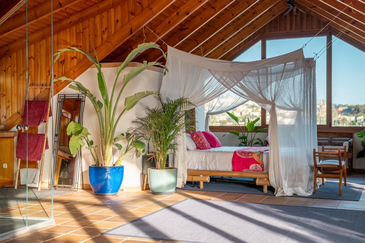 Barcelona's Tropical Oasis Sant Just Desvern