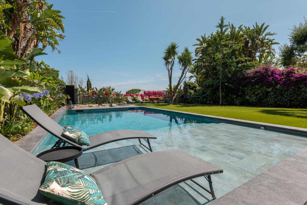 Villa Barcelona's Tropical Oasis *